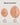 BZEZ Bra Fillets measurements: small A-B cups, large C-D cups